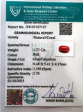 ITLGR_107107_CERTIFICATE.webp