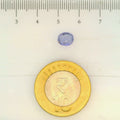 ITLGR_105018_SCALE.webp