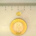 ITLGR_104918_SCALE.webp
