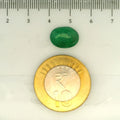 IGITL_203359_SCALE.webp