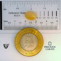 ITLGR_100541_SCALE.webp