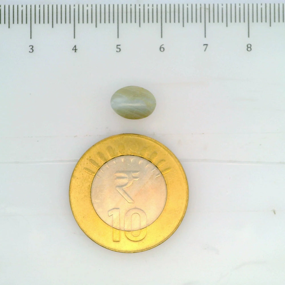 ITLGR_109813_SCALE.webp