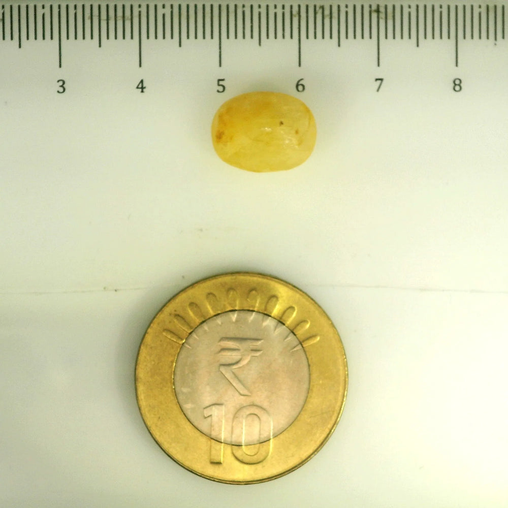 ITLGR_106772_SCALE.webp
