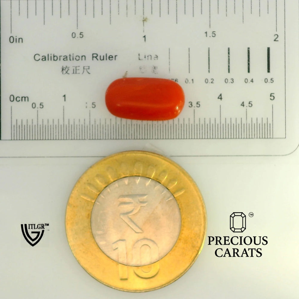 ITLGR_104523_SCALE.webp