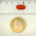 ITLGR_121352_SCALE.webp