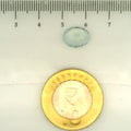 ITLGR_109506_SCALE.webp