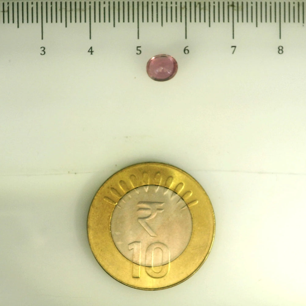 IGITL_201560_SCALE.webp