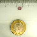 IGITL_201560_SCALE.webp