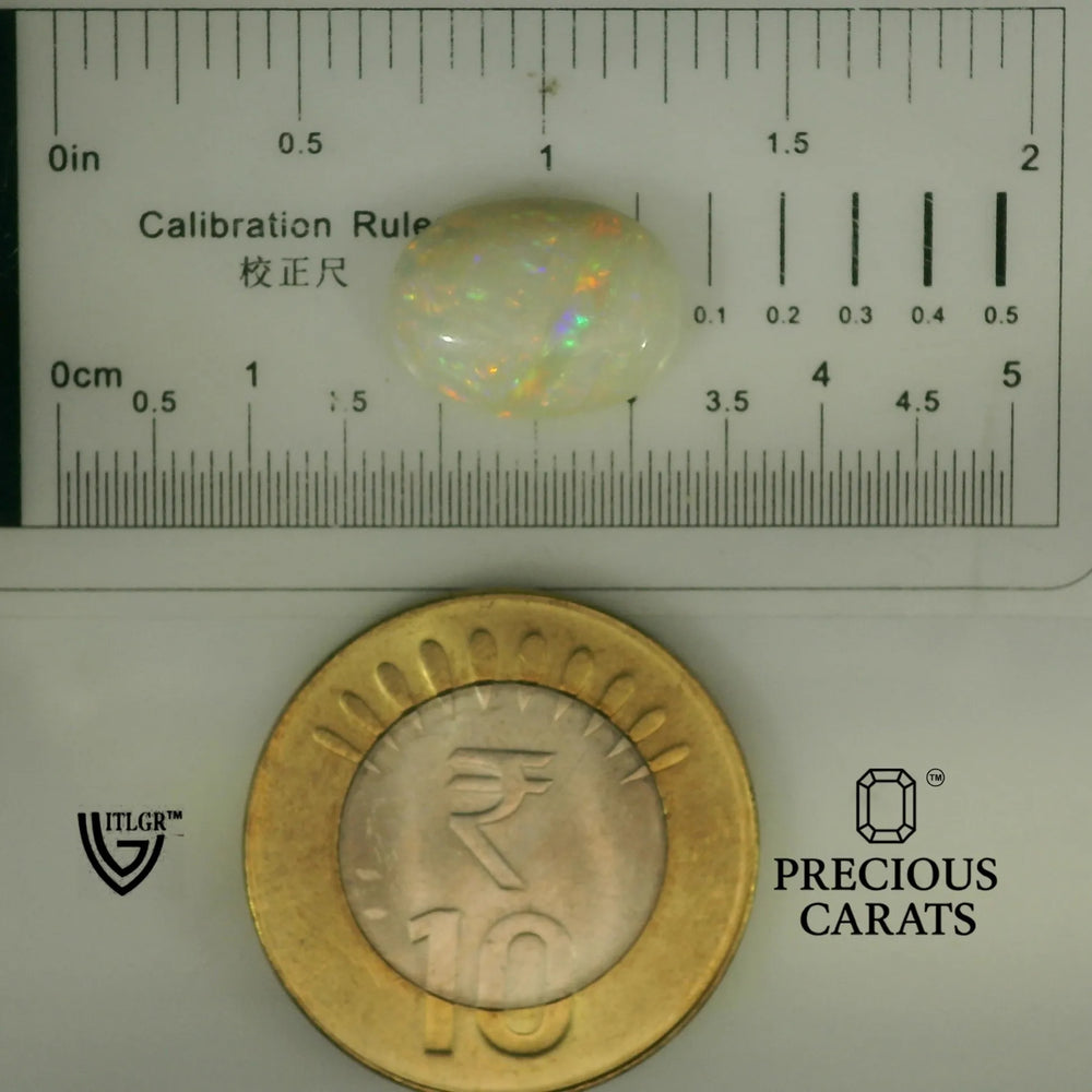 ITLGR_101986_SCALE.webp
