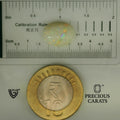 ITLGR_101986_SCALE.webp