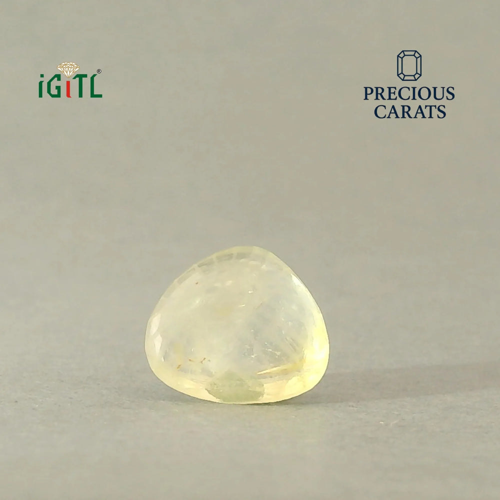 IGITL_200290_BACK.webp