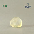 IGITL_200290_BACK.webp