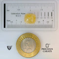 ITLGR_98889_SCALE.webp