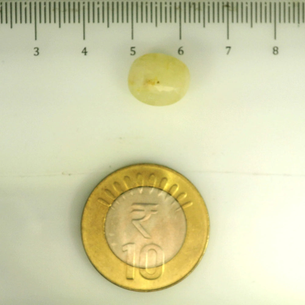 ITLGR_106790_SCALE.webp