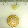 ITLGR_106790_SCALE.webp