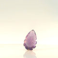 ITLGR_109458_BACK.webp