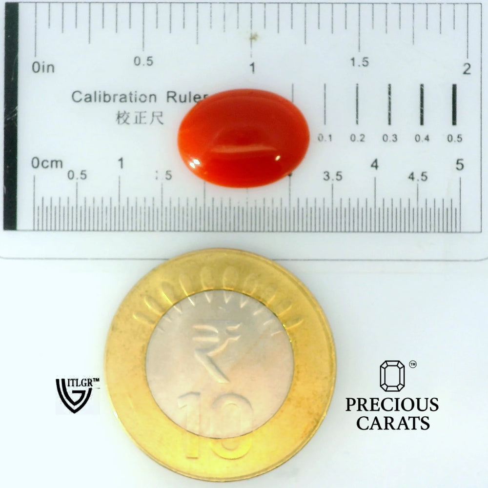ITLGR_105283_SCALE.webp