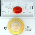 ITLGR_105283_SCALE.webp