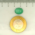 IGITL_203367_SCALE.webp