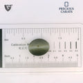 ITLGR_100592_SCALE.webp