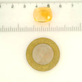ITLGR_121743_SCALE.webp