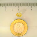 ITLGR_104915_SCALE.webp