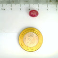ITLGR_2431_SCALE.webp
