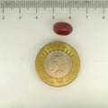 ITLGR_112884_SCALE.webp