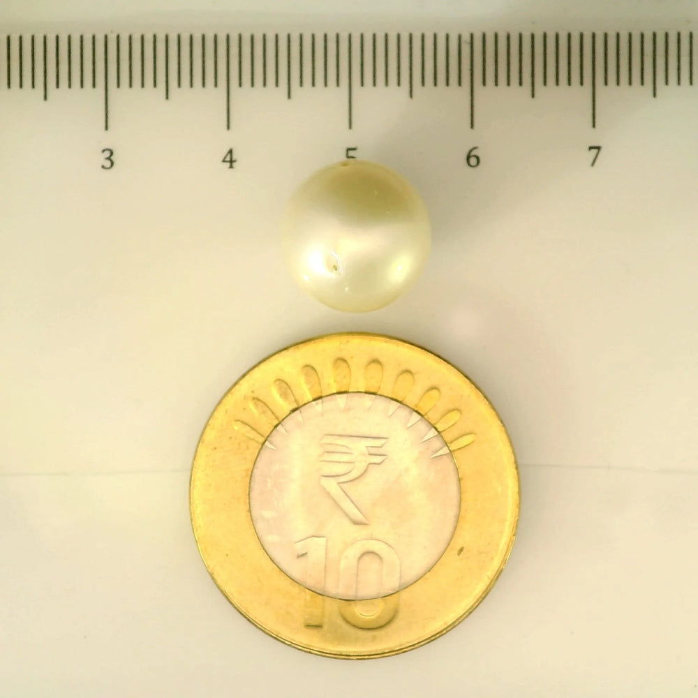 ITLGR_106905_SCALE.webp