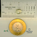 IGITL_197752_SCALE.webp