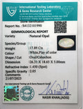 ITLGR_101990_CERTIFICATE.webp