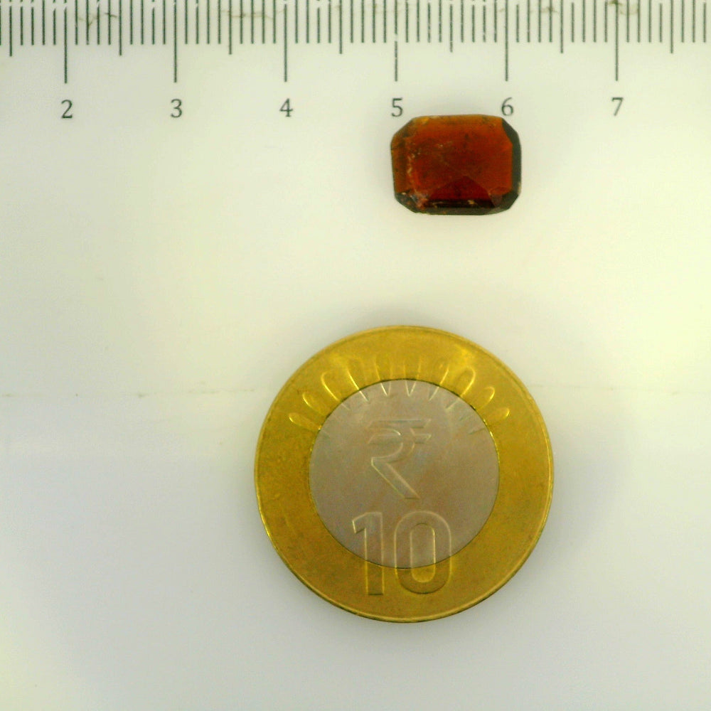 ITLGR_104219_SCALE.webp