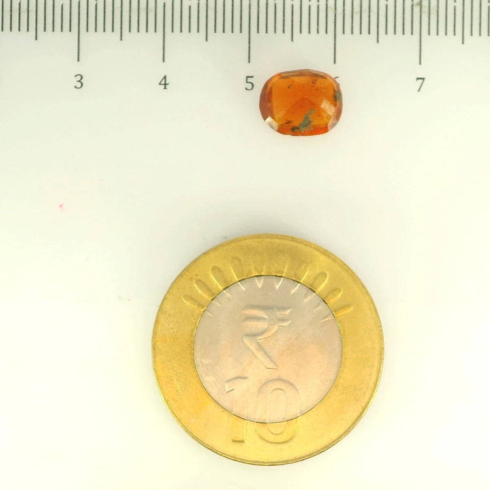 ITLGR_104191_SCALE.webp