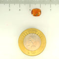 ITLGR_104191_SCALE.webp