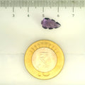 ITLGR_109446_SCALE.webp