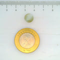 ITLGR_109823_SCALE.webp