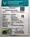 ITLGR_104998_CERTIFICATE.webp