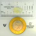 ITLGR_109957_SCALE.webp