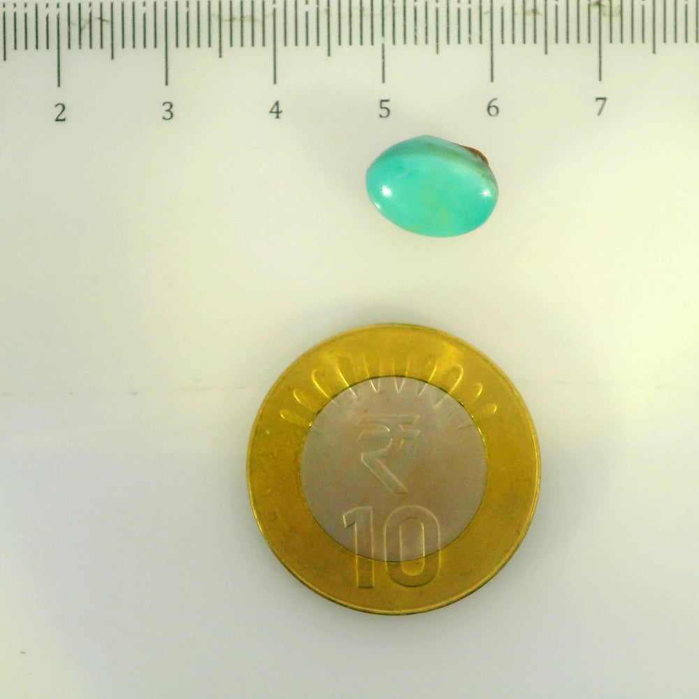 ITLGR_107230_SCALE.webp