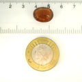 ITLGR_104368_SCALE.webp