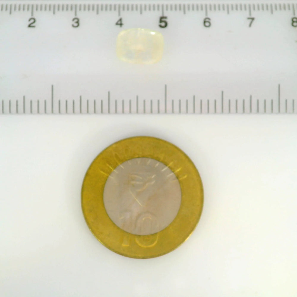 IGITL_211761_SCALE.webp