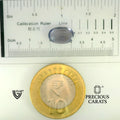 ITLGR_101652_SCALE.webp