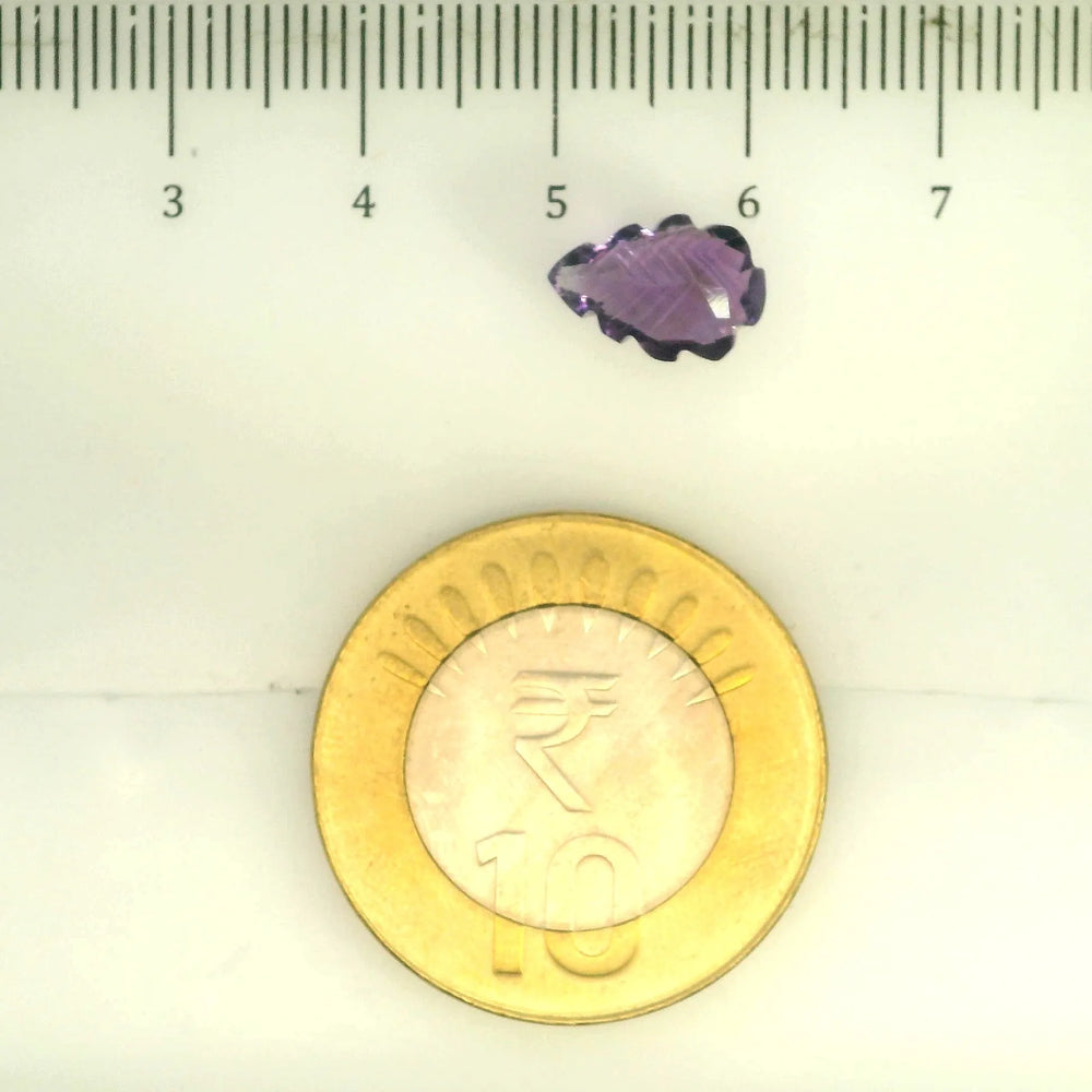 ITLGR_109438_SCALE.webp