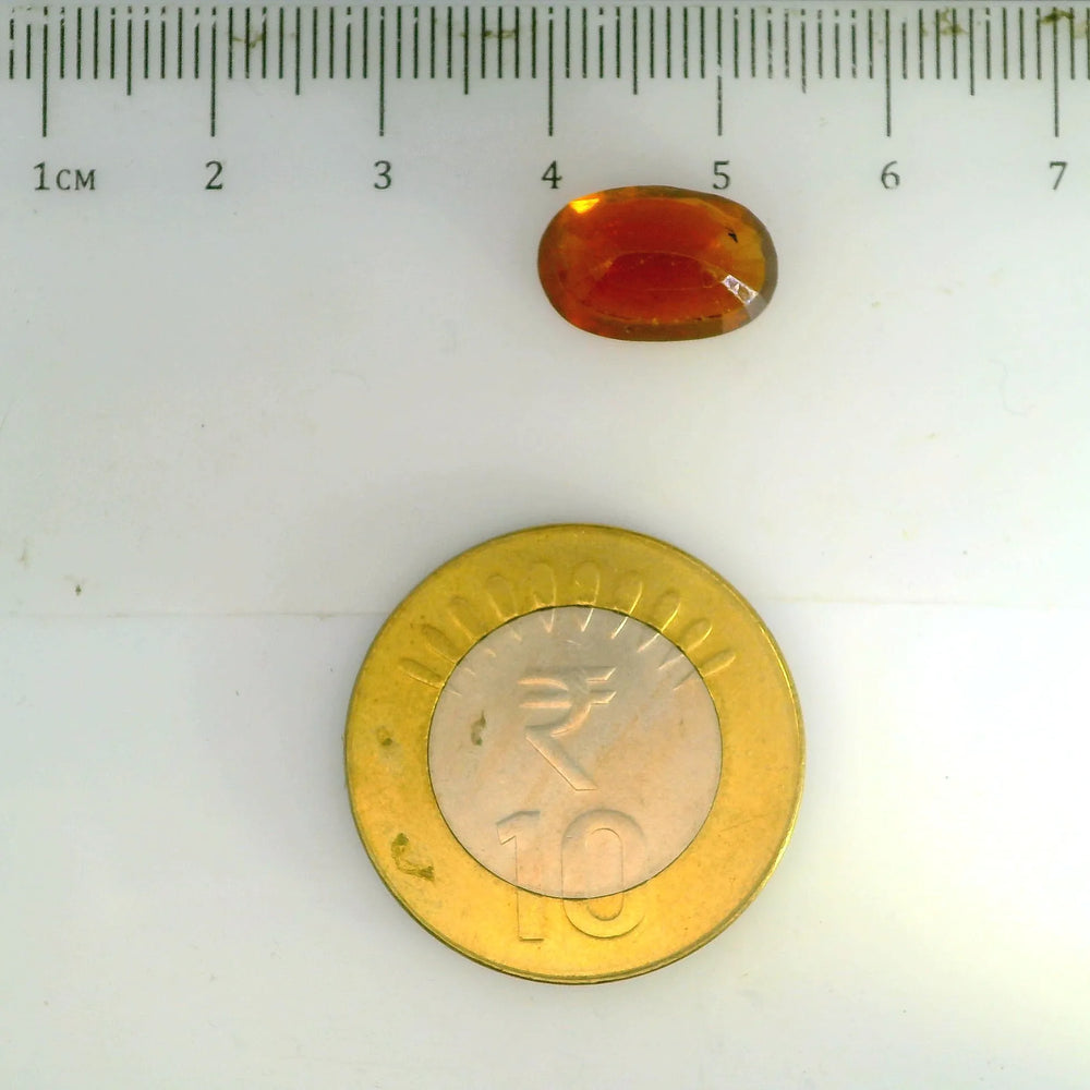 ITLGR_104433_SCALE.webp
