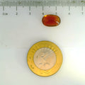 ITLGR_104433_SCALE.webp