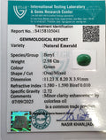 ITLGR_105041_CERTIFICATE.webp