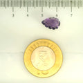 ITLGR_109456_SCALE.webp