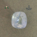 IGITL_200252_TOP.webp