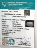 ITLGR_102080_CERTIFICATE.webp