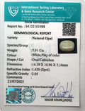 ITLGR_101988_CERTIFICATE.webp
